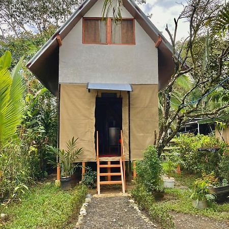 Cabana Equipada Puerto Jimenez Ngoại thất bức ảnh