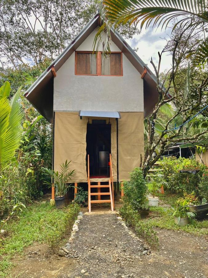 Cabana Equipada Puerto Jimenez Ngoại thất bức ảnh